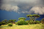 Ngorongoro Conservation Area - Tanzánie
