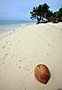 Pulau  Sangalaki - Borneo
