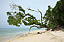Pulau  Sangalaki - Borneo
