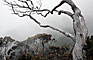 The Kinabalu park - Sabah - Borneo