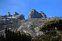 The Kinabalu park - Sabah - Borneo