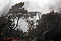 The Kinabalu park - Sabah - Borneo