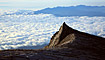 The Kinabalu park - Sabah - Borneo