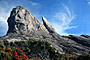 The Kinabalu park - Sabah - Borneo