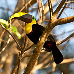 [Costa Rica 2014]