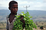 Ethiopie - 