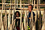 Ethiopie - 