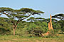 Ethiopie - 