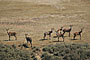 Ethiopia - 