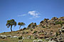 Ethiopie - 