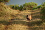 Ethiopie - 