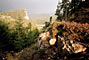 [SEMMERING]