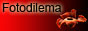 www.fotodilema.cz