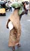 [INDIE-CHENNAI]