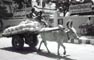 [INDIE-MADURAI]