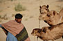 India - Rajasthan