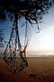 Andaman Islands