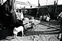 MUMBAI - on the street