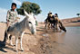 India - Rajasthan desert