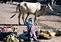 India - on the street