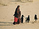 India - Rajasthan desert