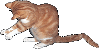 Mikeš