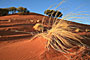 Namibie