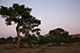 Namibie