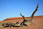 Namibie