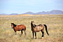 Namibie