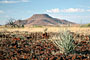 Namibie