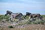 Namibie