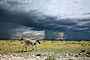 Namibie