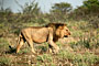Namibie