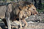 Namibie