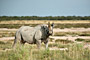 Namibie