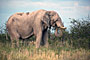 Namibie