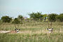 Namibie