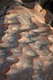 Namibie