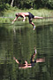Slackline Bišík