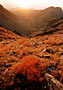 ZÁPADNÍ TATRY - ROHÁČE