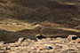 Skotsko - Scotland