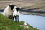Skotsko - Scotland