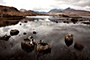 Skotsko - Scotland