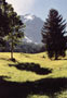 EIGER 3970m