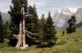 WETTERHORN 3701m