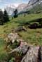 WETTERHORN 3701m