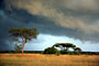 Ngorongoro Conservation Area - Tanzánie