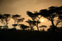 Ngorongoro Conservation Area - Tanzánie