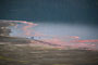 Plameňák malý (Lesser Flamingo) - Lake Nakuru National Park- Keňa